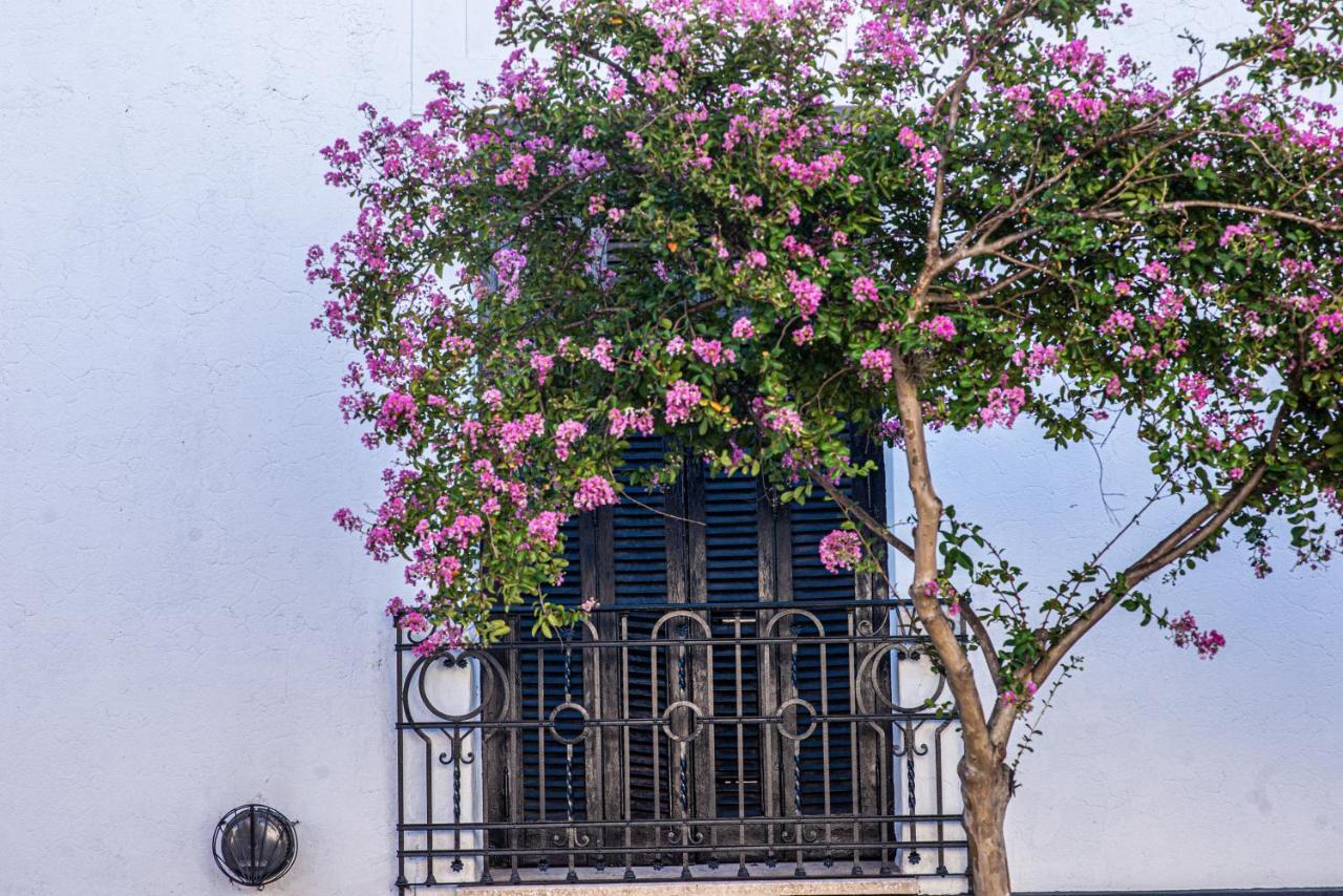 Hostel El Puesto San Antonio de Areco Eksteriør billede